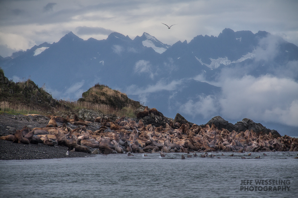 Landscape Photography Alaska