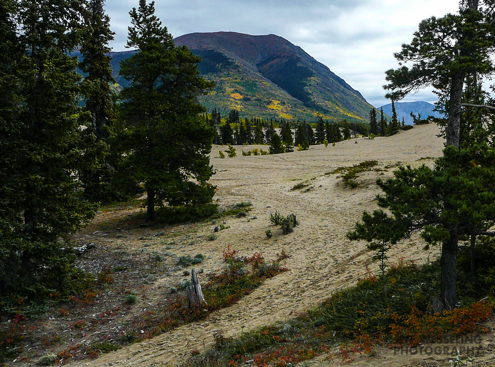 Landscape Photography Yukon Desert