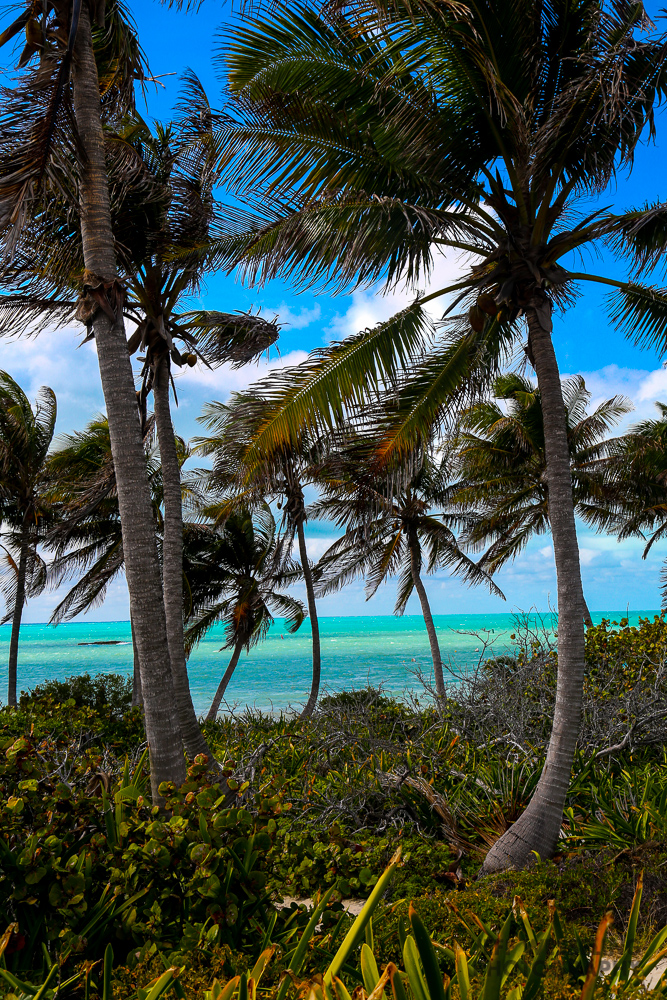 Landscape Photography Mexico