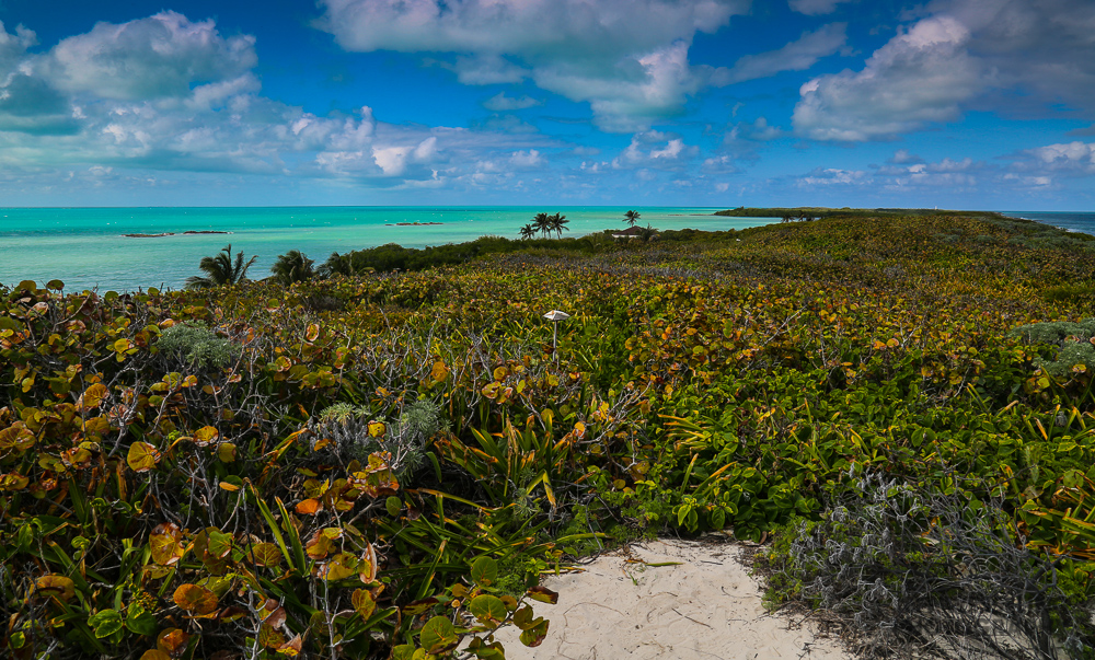 Landscape Photography Mexico