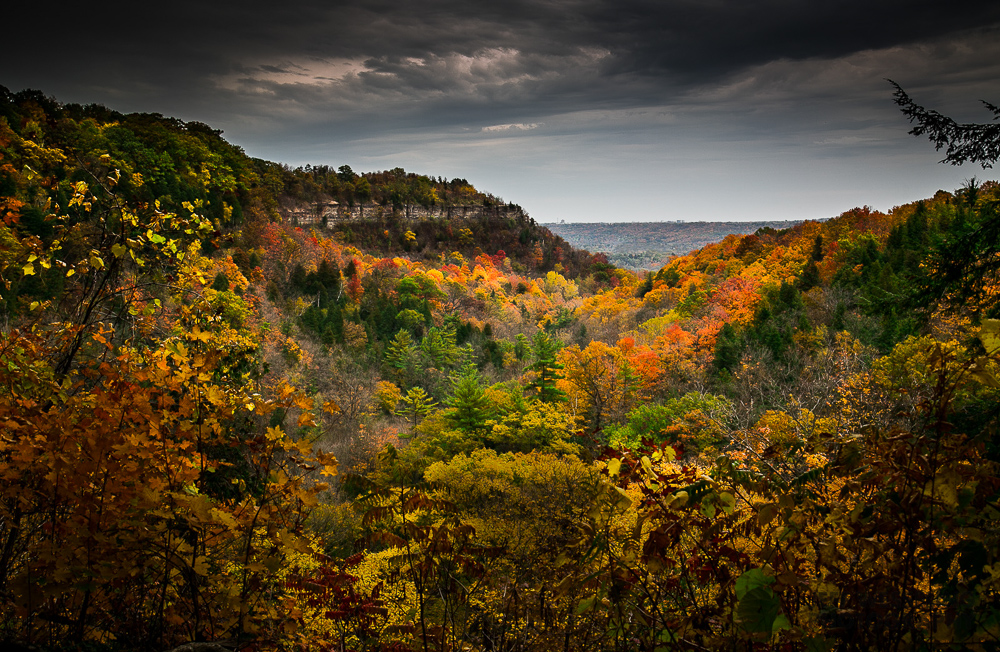 Landscape Photography Spencers Gorge Hamilton